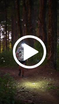 BIB:  <button type="button" onclick="openModal(27342306)" class="btn btn-primary btn-sm float-right" data-toggle="modal" data-target=".modal-high-quality">
                <i class="fa fa-download"></i> Download
                </button>